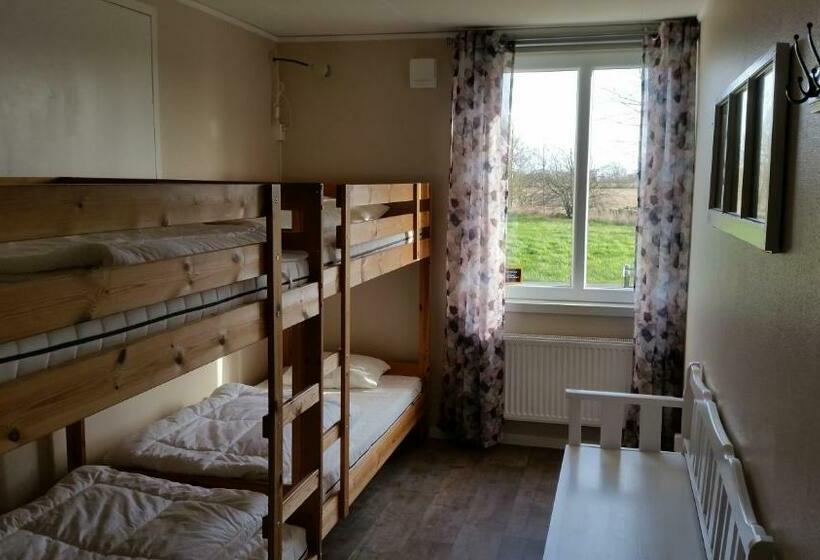 浴室共有スタンダード４人用ルーム, Björkängs Vandrarhem