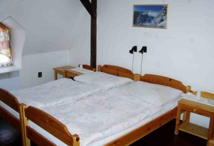 Номер Economy с общей ванной комнатой, Penzion Klopacka