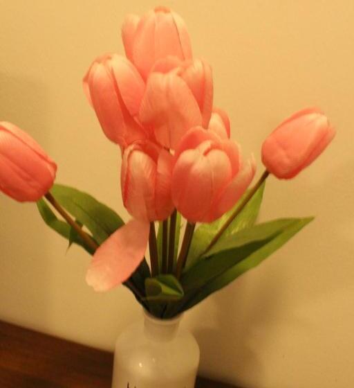 家庭间, Lovely Studio Cologne West   Neues Momomotel