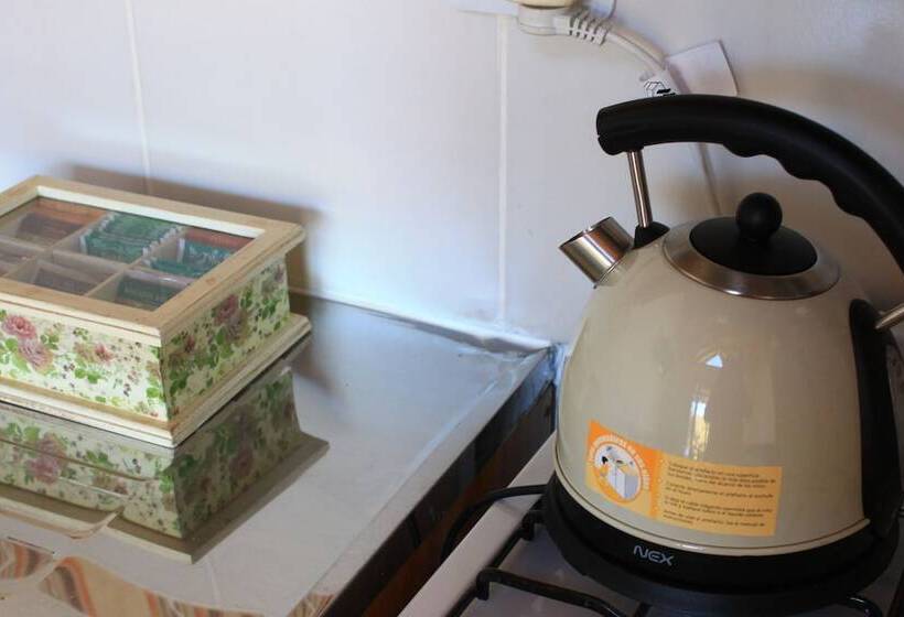 شقة كومفورت غرفة نوم واحدة, Faro Azul Villa Pehuenia