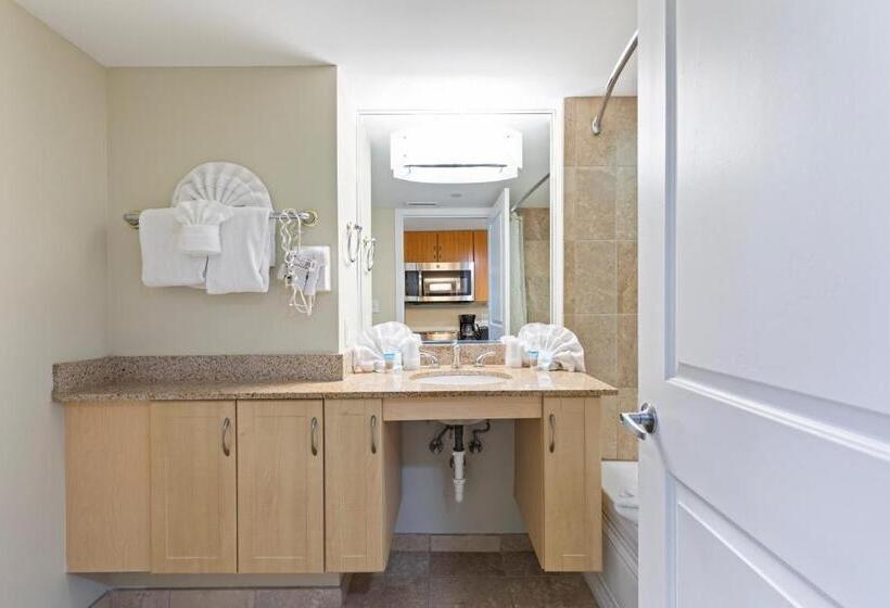 استودیو استاندارد با تخت کینگ, Sandy Beach Resort