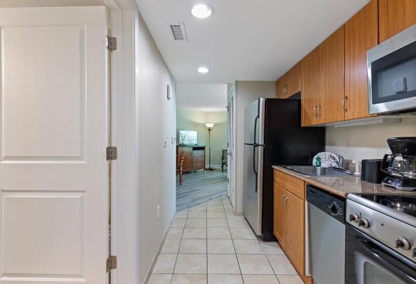 استودیو استاندارد با تخت کینگ, Sandy Beach Resort