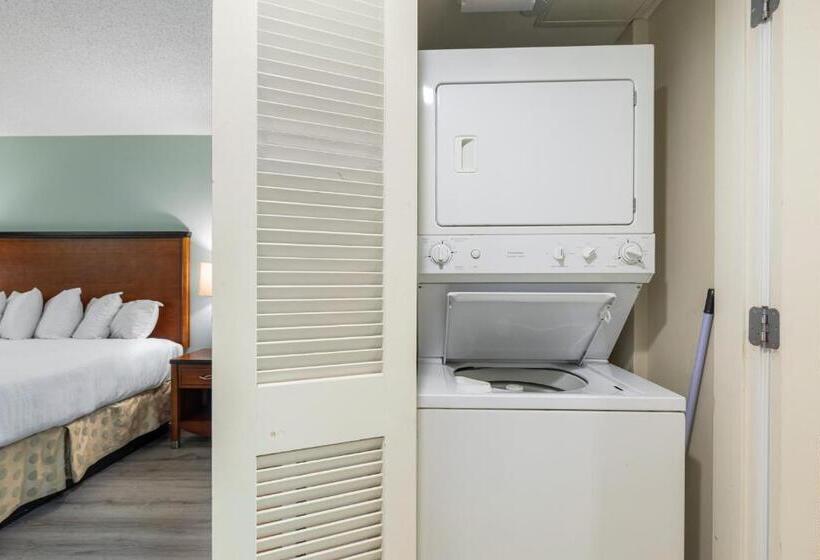 Deluxe Suite King Bed, Sandy Beach Resort