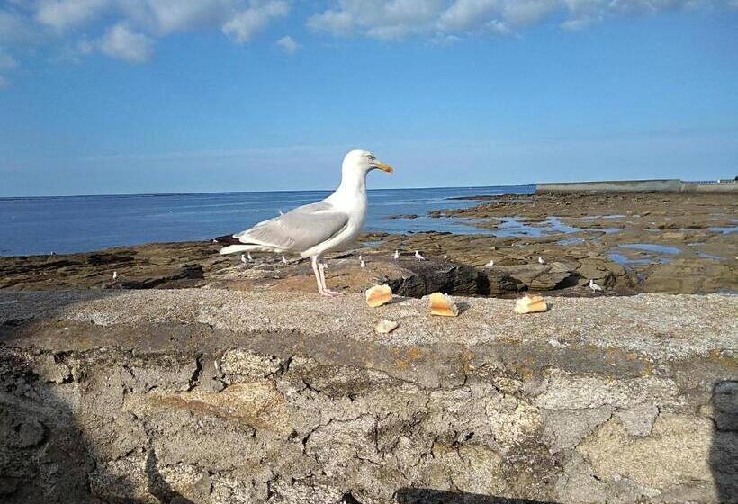 豪华房间, La Rose Des Mers