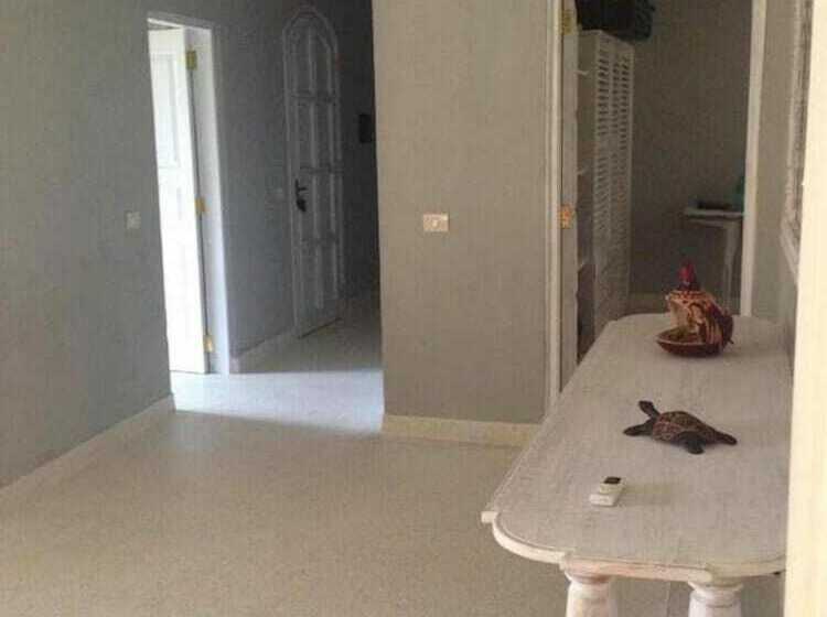 آپارتمان کلاسیک 1 خوابه, Tembo Court Apartment 160