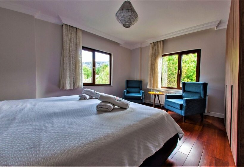 带1个卧室的豪华别墅, Villa Kirkpinar Sapanca