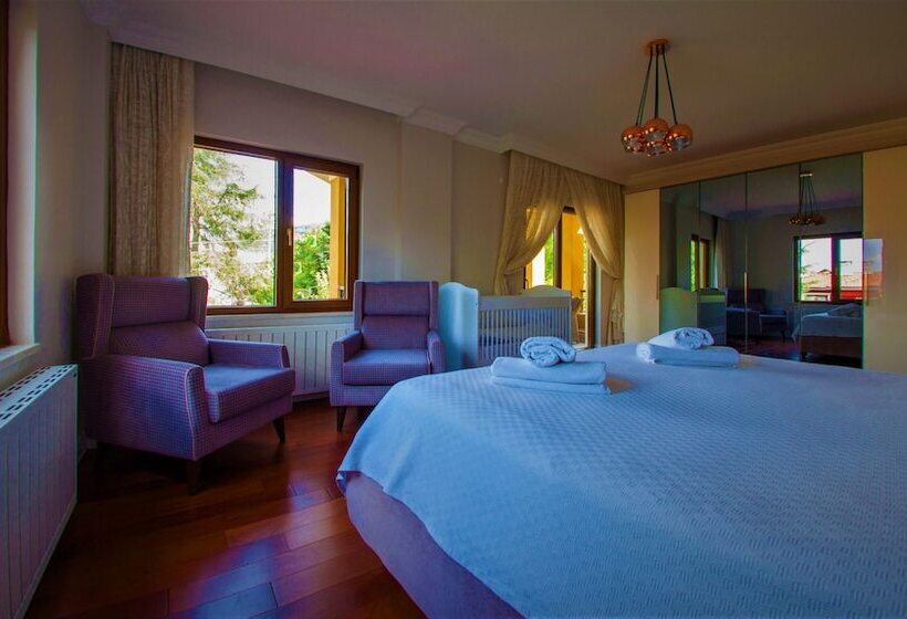 带1个卧室的豪华别墅, Villa Kirkpinar Sapanca