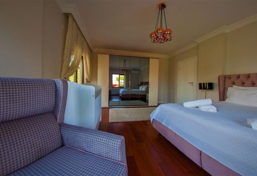 带1个卧室的豪华别墅, Villa Kirkpinar Sapanca