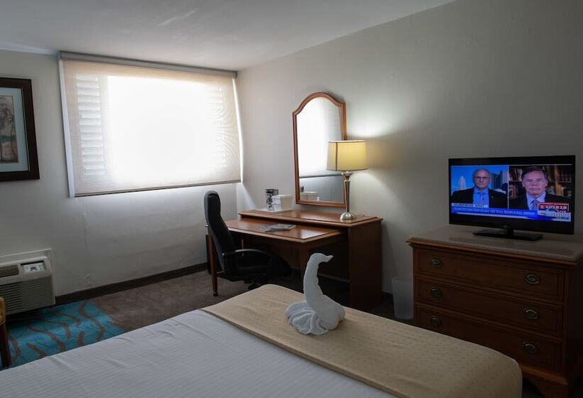 اتاق استاندارد برای معلولان, Caribe Hotel Ponce