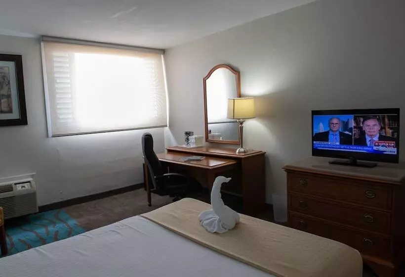 اتاق استاندارد برای معلولان, Caribe Hotel Ponce