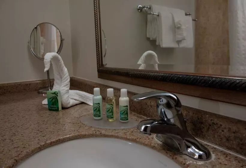 اتاق کلاس بیزنس, Caribe Hotel Ponce