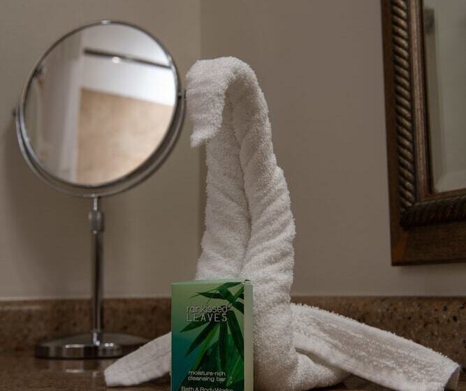 اتاق کلاس بیزنس, Caribe Hotel Ponce