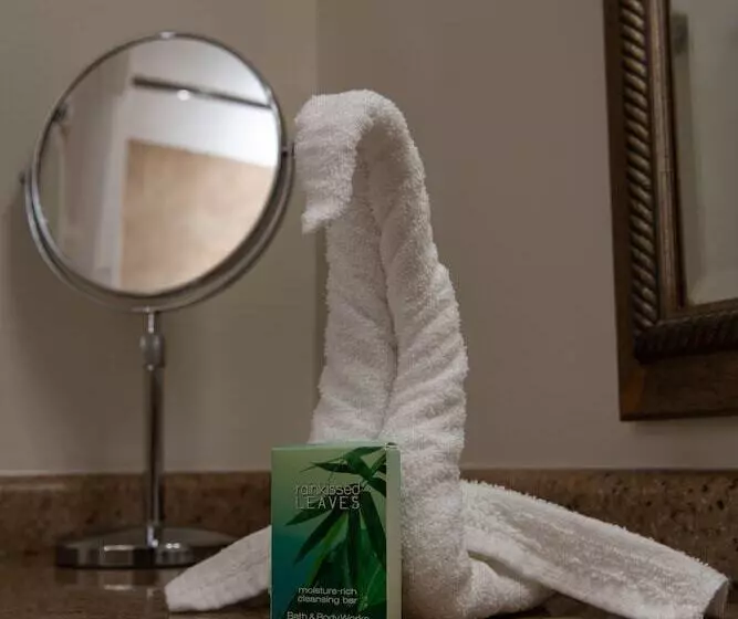 اتاق کلاس بیزنس, Caribe Hotel Ponce