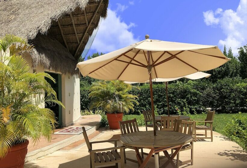 수피리어 룸, Allegro Cozumel All Inclusive