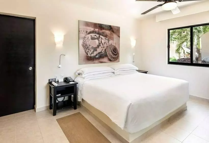 اتاق سوپریور, Allegro Cozumel All Inclusive