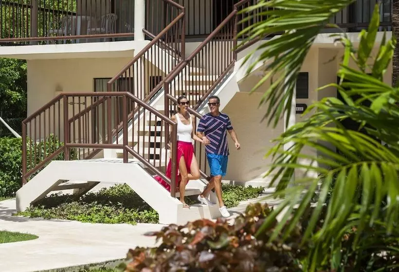 اتاق سوپریور, Allegro Cozumel All Inclusive