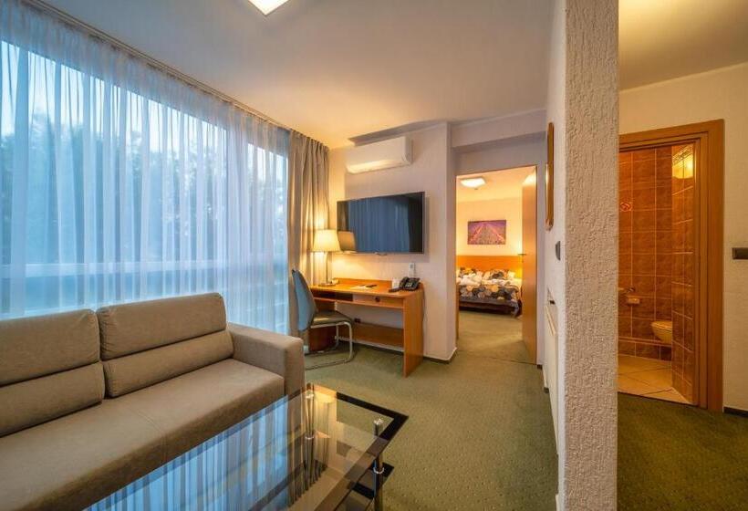 آپارتمان 1 خوابه, Gromada Poznań