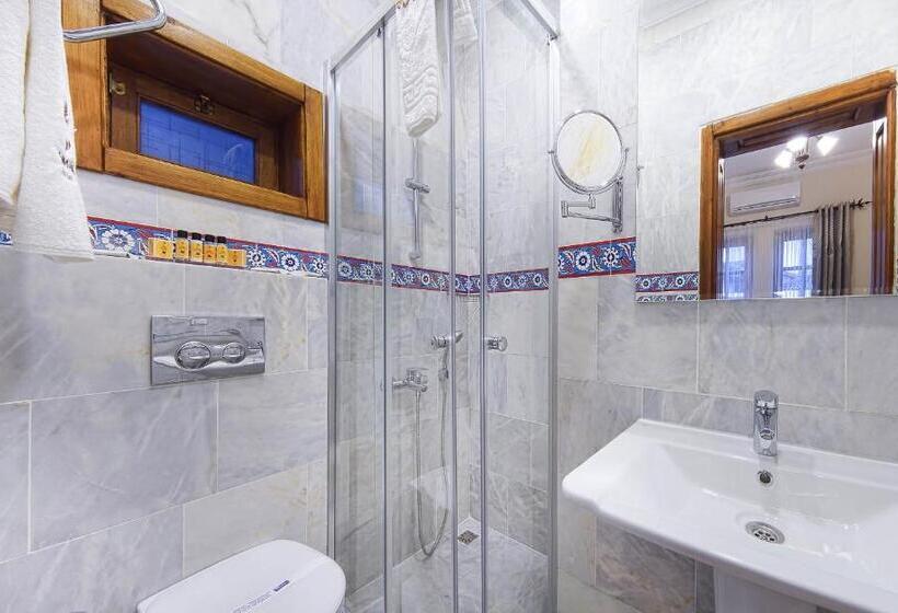 اتاق استاندارد, Minyon