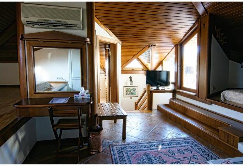 اتاق لوکس چهار تخته, Minyon