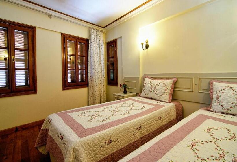 ویلای 1 خوابه, Minyon