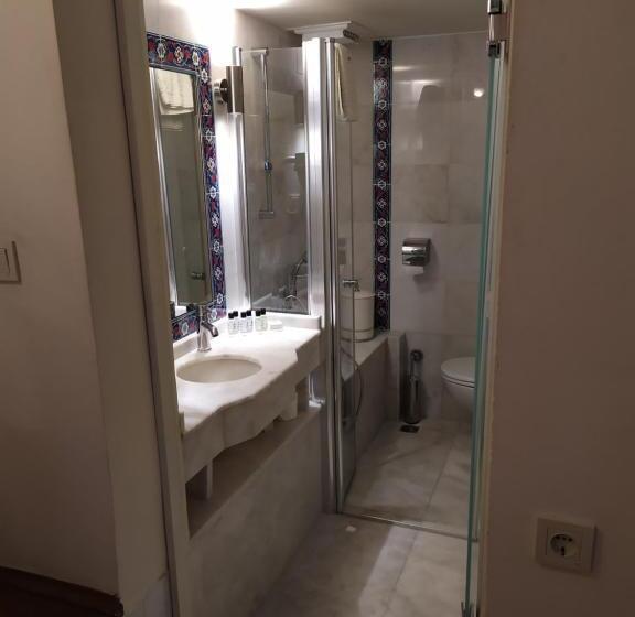 اتاق اکونومی, Minyon