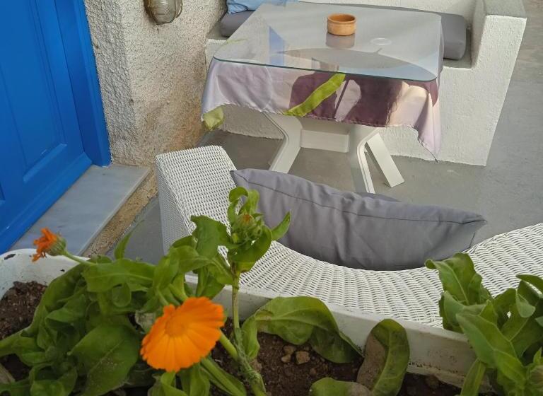 Quarto Estandar Interior, The Best