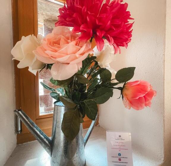 Standardrum, Case Di Sotto, House & Breakfast