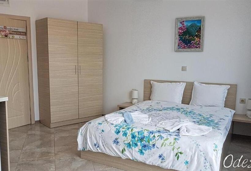 Студия Стандарт, Guesthouse Odesos