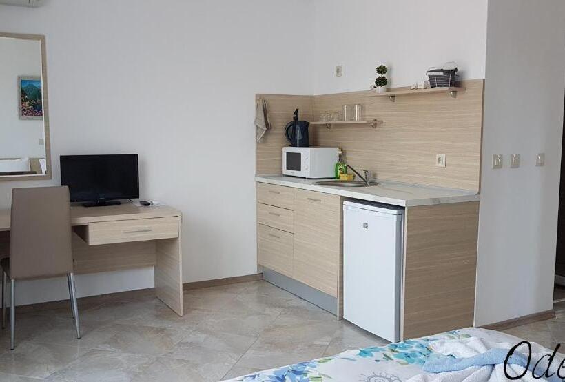 Студия Стандарт, Guesthouse Odesos