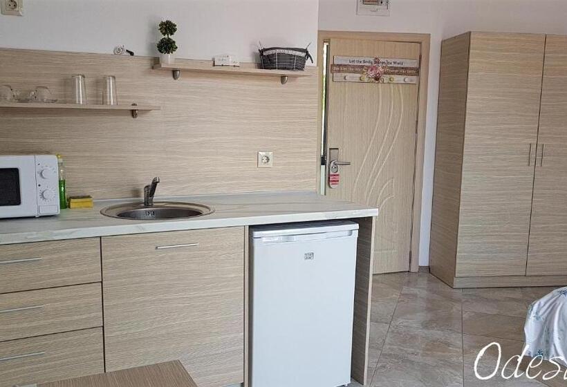 Студия Стандарт, Guesthouse Odesos