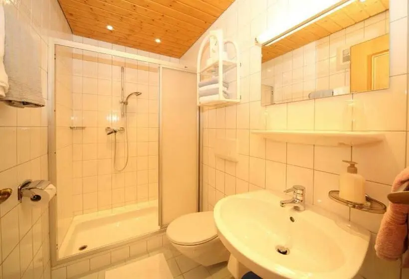 آپارتمان 1 خوابه, Pension Spreitzhof & Appartement Royer