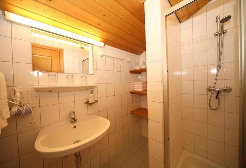 آپارتمان 1 خوابه, Pension Spreitzhof & Appartement Royer