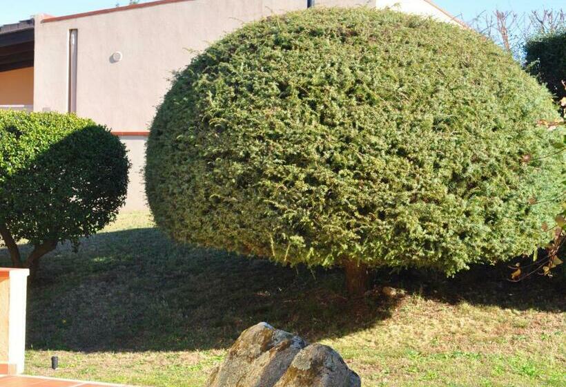 침실 2개 바다 전망 아파트, Residence Cala Petralana