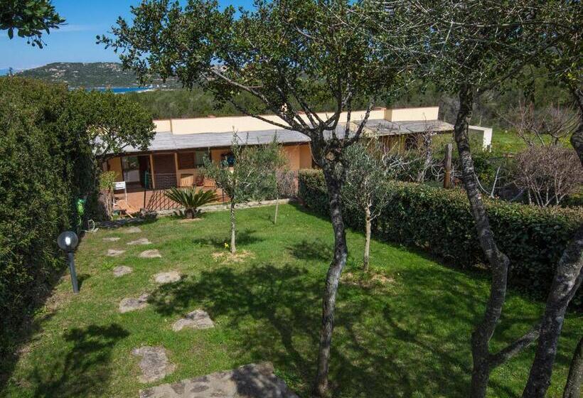 ویلای 1 خوابه, Residence Cala Petralana