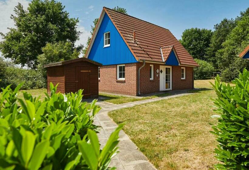 带2个卧室的标准洋房, Landal Dwergter Sand