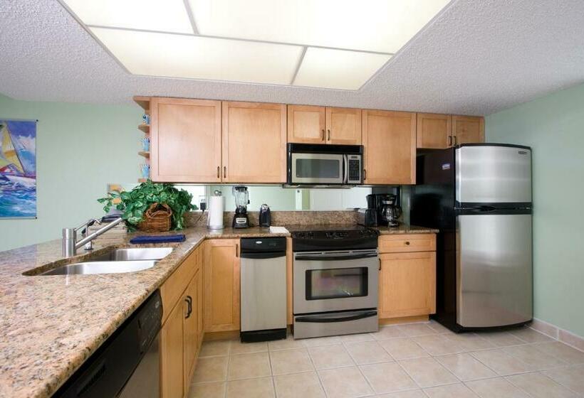 شقة غرفة واحدة, Saida