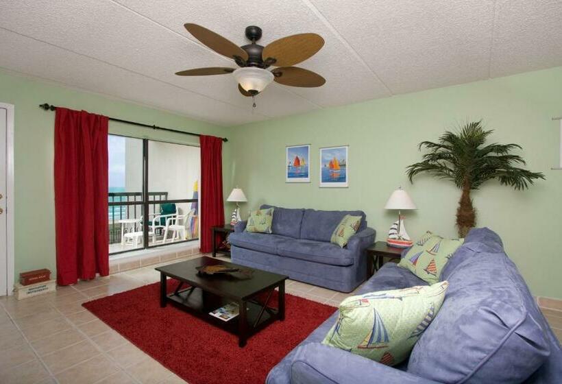 شقة غرفة واحدة, Saida