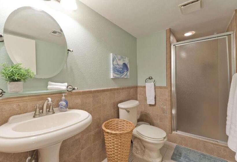 شقة ديلوكس غرفتين نوم, Saida