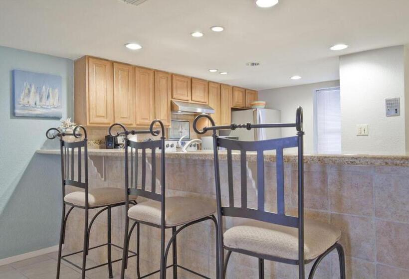 شقة ديلوكس غرفتين نوم, Saida