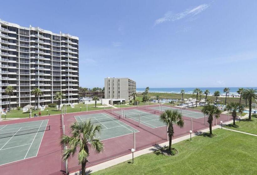 شقة غرفة واحدة مطلة على البحر, Saida