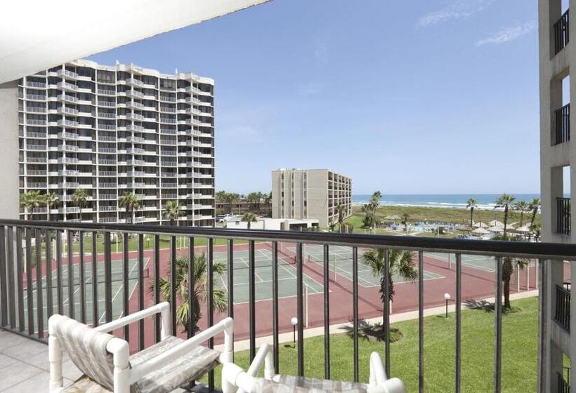 شقة غرفة واحدة مطلة على البحر, Saida