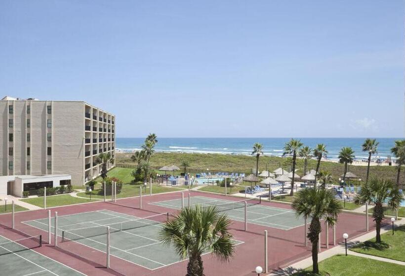 شقة غرفة واحدة مطلة على البحر, Saida