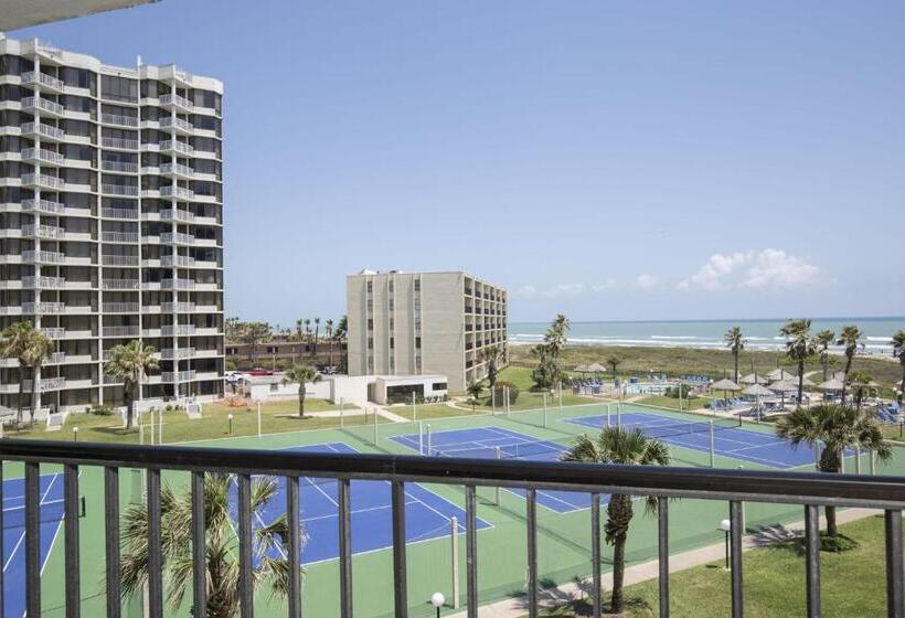 شقة غرفة واحدة مطلة على البحر, Saida