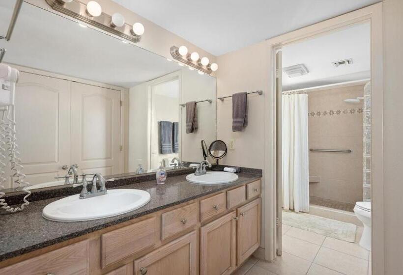 شقة غرفة نوم واحدة مزودة بشُرفة, Saida