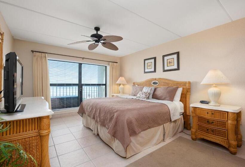 شقة غرفة نوم واحدة مزودة بشُرفة, Saida