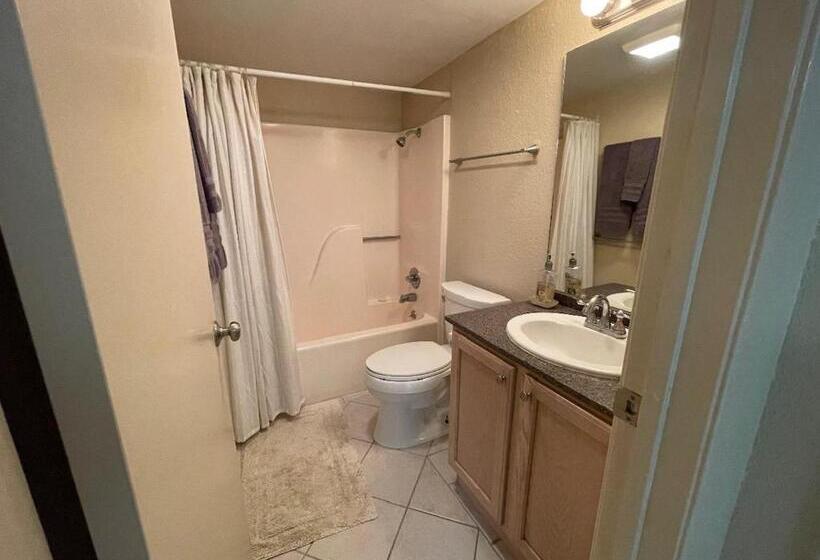 شقة غرفة نوم واحدة مزودة بشُرفة, Saida