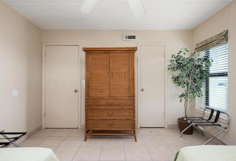 شقة غرفة نوم واحدة مزودة بشُرفة, Saida