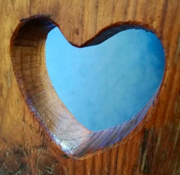 バルコニー付き１ベッドルームアパートメント, Jerolitsch