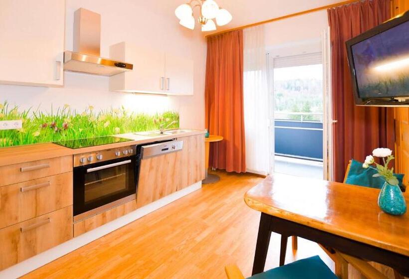 带1个卧室的公寓, Jerolitsch