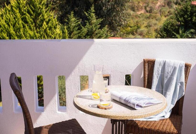 غرفة سوبيريور, Alexandros Palace